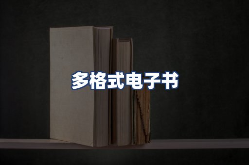多格式电子书